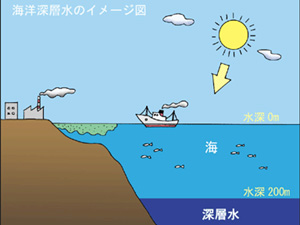 室戸の海洋深層水を使用